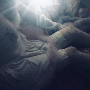 精品南斯拉夫性免费视频
